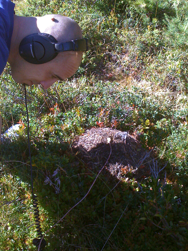 Andrea Valle records an anthill with a contact mic.
