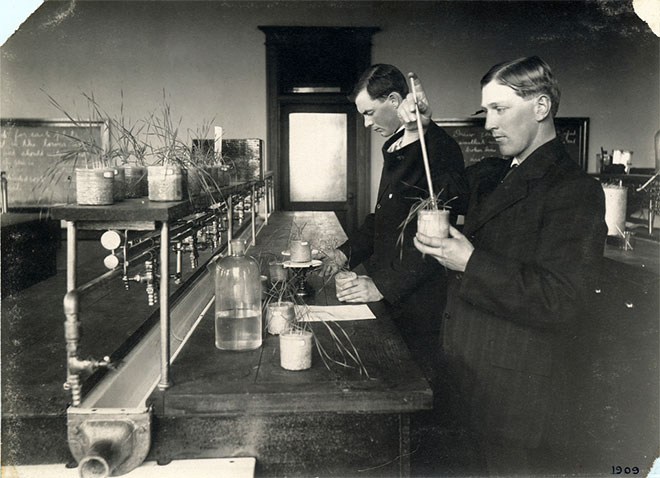 Agronomy students are testing soil fertility and plant growth under various soil conditions in the lab. Harriet's Collection, 1900-1909.